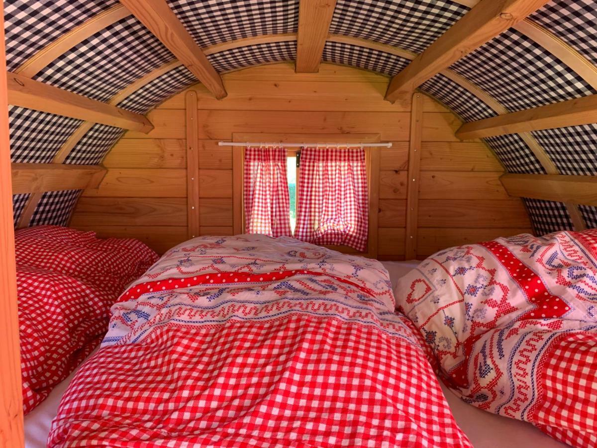#Glamping@De Verloren Sinjoor Bladel Zewnętrze zdjęcie