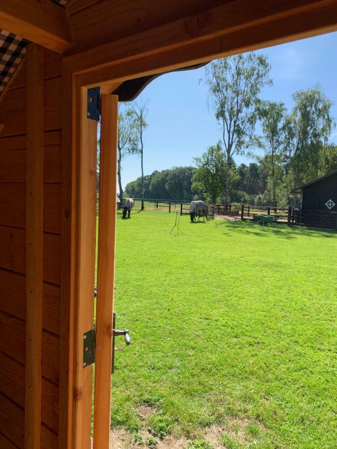 #Glamping@De Verloren Sinjoor Bladel Zewnętrze zdjęcie