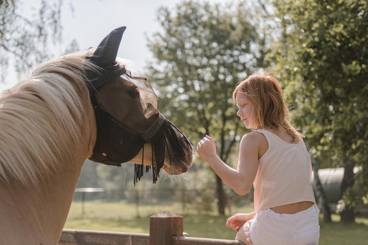 #Glamping@De Verloren Sinjoor Bladel Zewnętrze zdjęcie