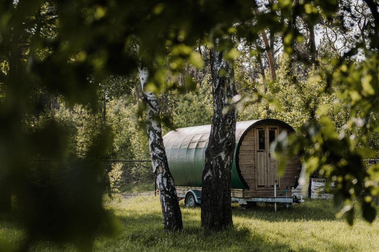 #Glamping@De Verloren Sinjoor Bladel Zewnętrze zdjęcie